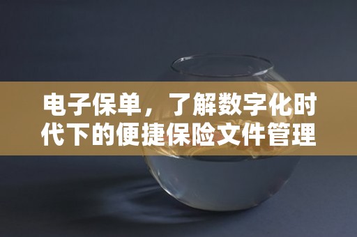 电子保单，了解数字化时代下的便捷保险文件管理方式