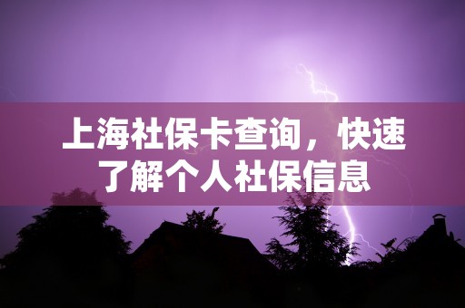 上海社保卡查询，快速了解个人社保信息