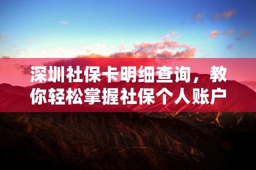 深圳社保卡明细查询，教你轻松掌握社保个人账户信息