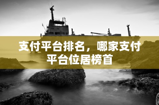 支付平台排名，哪家支付平台位居榜首