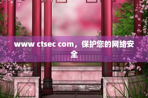 www ctsec com，保护您的网络安全