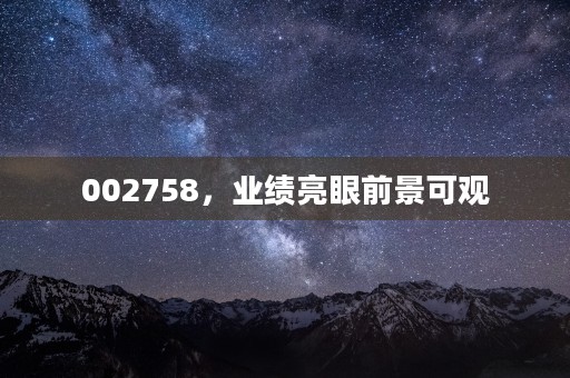 002758，业绩亮眼前景可观