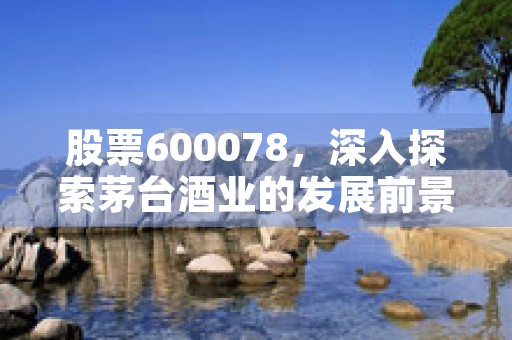 股票600078，深入探索茅台酒业的发展前景