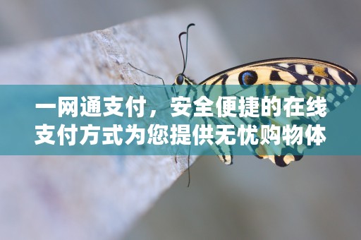 一网通支付，安全便捷的在线支付方式为您提供无忧购物体验