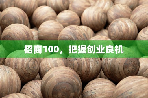 招商100，把握创业良机