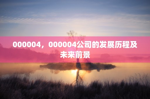 000004，000004公司的发展历程及未来前景