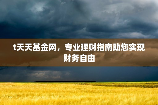 t天天基金网，专业理财指南助您实现财务自由