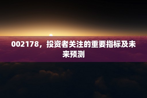 002178，投资者关注的重要指标及未来预测