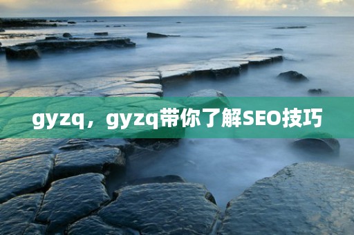 gyzq，gyzq带你了解SEO技巧