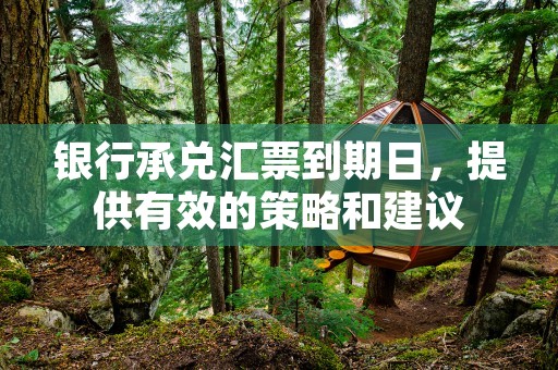 银行承兑汇票到期日，提供有效的策略和建议