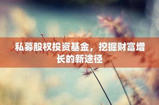 私募股权投资基金，挖掘财富增长的新途径