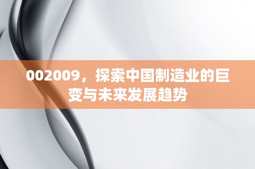 002009，探索中国制造业的巨变与未来发展趋势