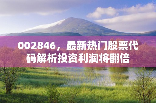 002846，最新热门股票代码解析投资利润将翻倍