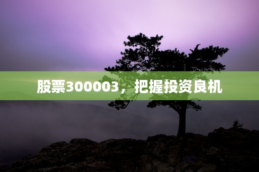 股票300003，把握投资良机