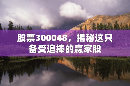 股票300048，揭秘这只备受追捧的赢家股