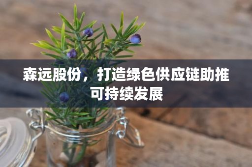 森远股份，打造绿色供应链助推可持续发展