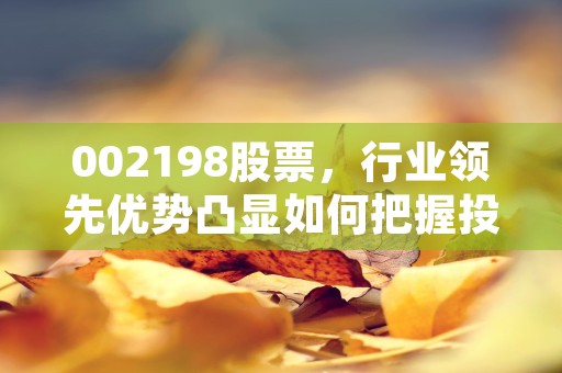 002198股票，行业领先优势凸显如何把握投资机会