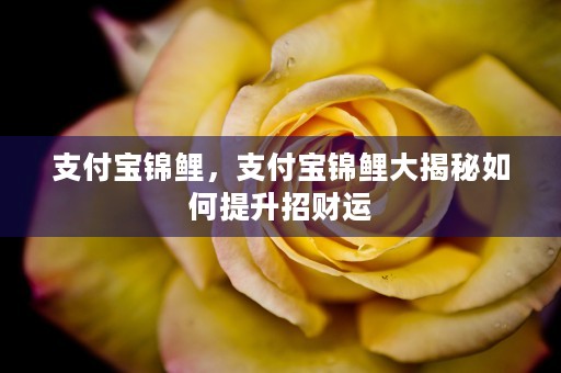 支付宝锦鲤，支付宝锦鲤大揭秘如何提升招财运