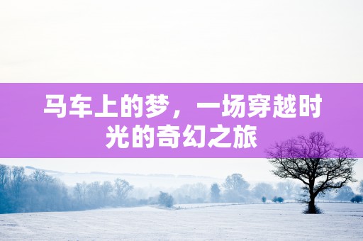 在线电脑免费算命，轻松揭示你的奇遇和挑战