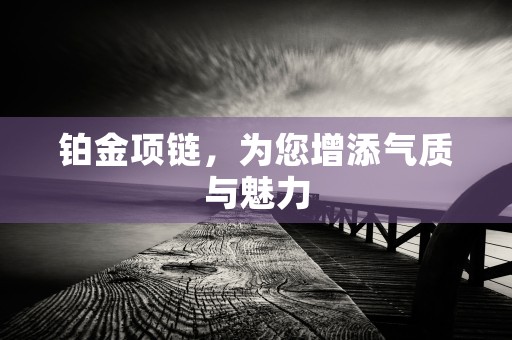 铂金项链，为您增添气质与魅力