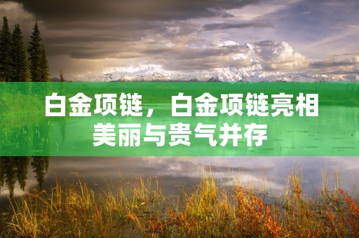 白金项链，白金项链亮相美丽与贵气并存