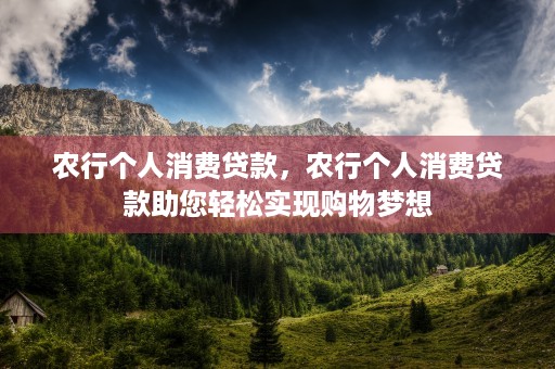 农行个人消费贷款，农行个人消费贷款助您轻松实现购物梦想