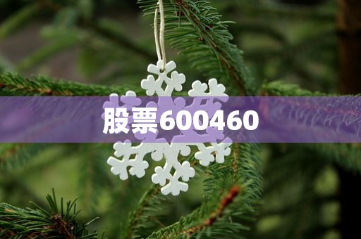 股票600460