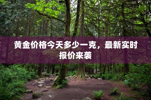 黄金价格今天多少一克，最新实时报价来袭
