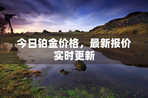 今日铂金价格，最新报价实时更新