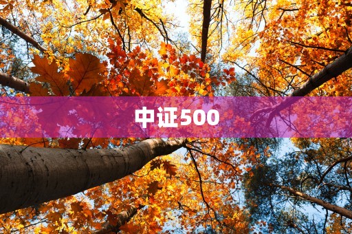 中证500