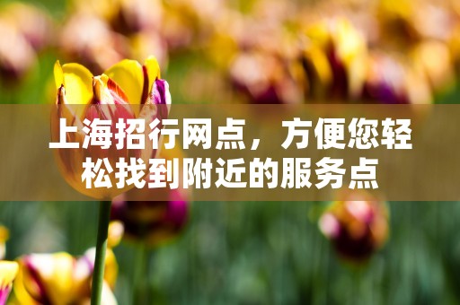 上海招行网点，方便您轻松找到附近的服务点