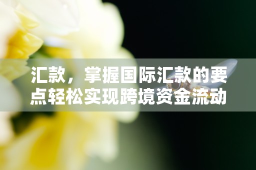 汇款，掌握国际汇款的要点轻松实现跨境资金流动