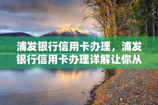 浦发银行信用卡办理，浦发银行信用卡办理详解让你从容应对金融需求