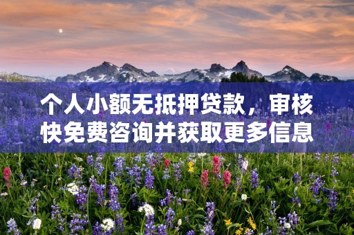 个人小额无抵押贷款，审核快免费咨询并获取更多信息