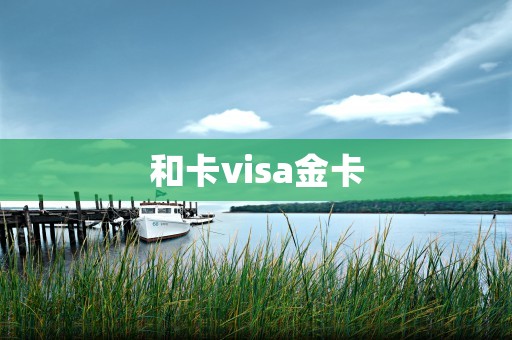 和卡visa金卡