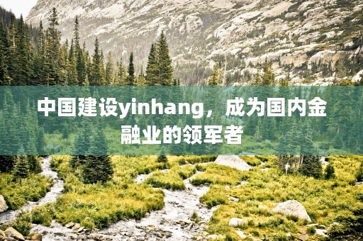 中国建设yinhang，成为国内金融业的领军者