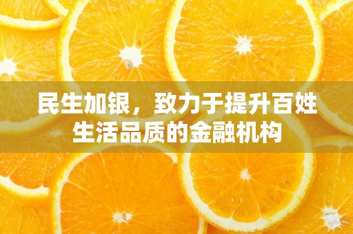 民生加银，致力于提升百姓生活品质的金融机构