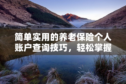 简单实用的养老保险个人账户查询技巧，轻松掌握查看余额等重要信息