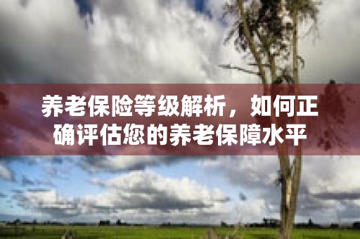 养老保险等级解析，如何正确评估您的养老保障水平