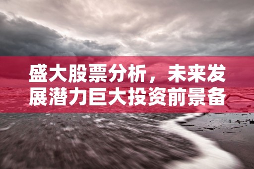 盛大股票分析，未来发展潜力巨大投资前景备受关注