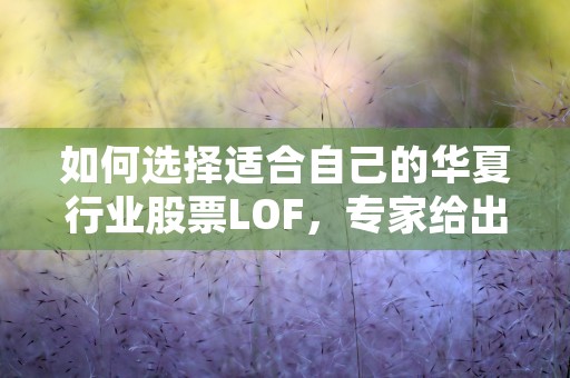 如何选择适合自己的华夏行业股票LOF，专家给出建议