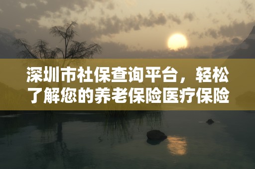 深圳市社保查询平台，轻松了解您的养老保险医疗保险等信息