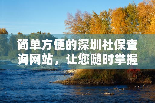 简单方便的深圳社保查询网站，让您随时掌握个人社保状态