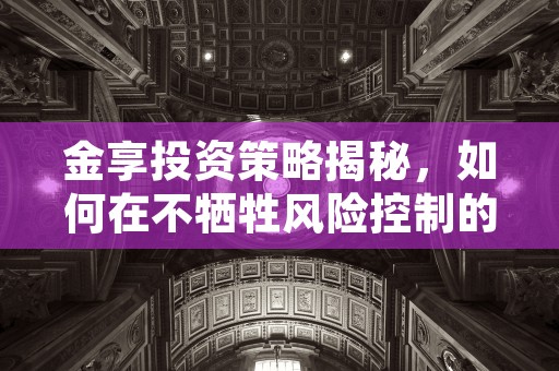 金享投资策略揭秘，如何在不牺牲风险控制的前提下获得更高收益