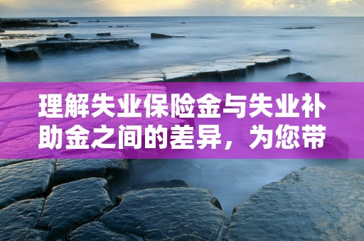 理解失业保险金与失业补助金之间的差异，为您带来更清晰的福利了解