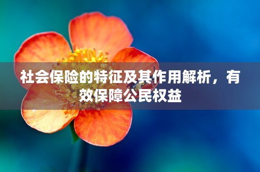 社会保险的特征及其作用解析，有效保障公民权益