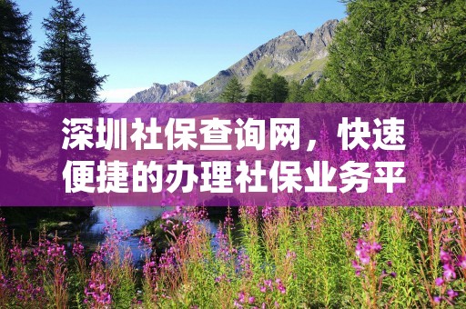 深圳社保查询网，快速便捷的办理社保业务平台