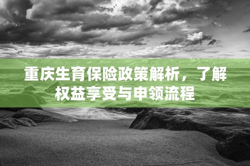 重庆生育保险政策解析，了解权益享受与申领流程