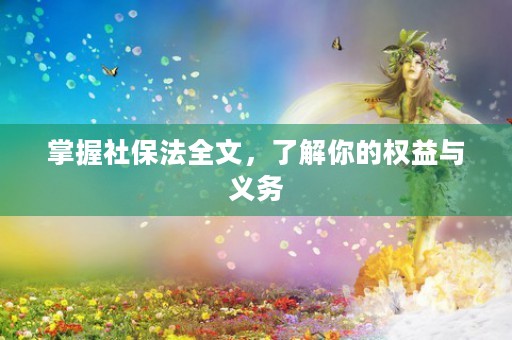 掌握社保法全文，了解你的权益与义务