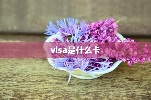 visa是什么卡